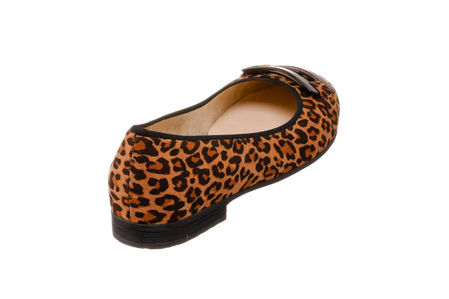Ara Margay Leopard