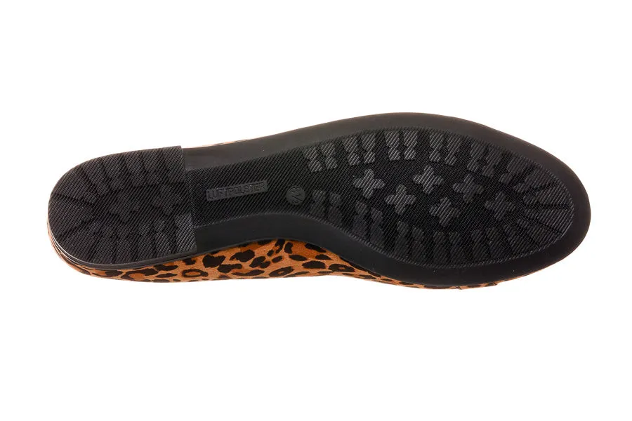Ara Margay Leopard