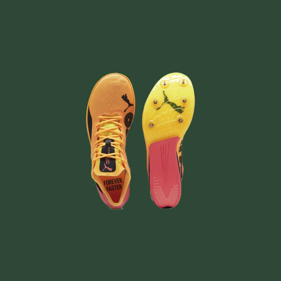 Puma Evospeed Long Distance Nitro Elite 2